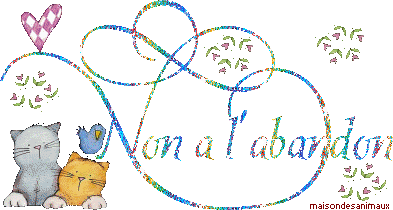 oui bien sur non l'abondon
